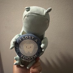 Pillowfort 12″ Mint Green Alligator I LOST A TOOTH Kids’ Plush Milestone Animal