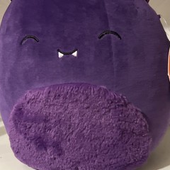 Squishmallows 10″ BLAS Purple Bat Plush Halloween Decor Stuffed Pillow Vampire
