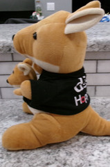 The Hopper Dish Network Promo 14″ Kangaroo & Baby Joey Plush Toy Stuffed Animal