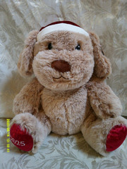 2025 pet smart “Chance” stuffed plush dog w/ santa hat, has tag