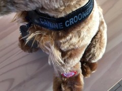 Canine Crooners Jack the Cocker Spaniel Plush Sings Love Hurts Animated Toy