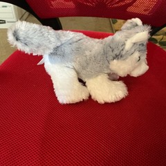 Webkinz Husky HM120 New with Sealed Code. Very cute.