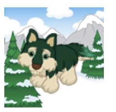 Webkinz Classic Pine Wolf CODE