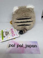 Pallas’s cat Sanei Boeki Dango friends plush toy Manul cat H/3in Neko Dang New