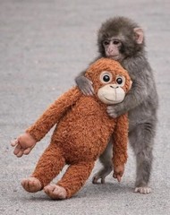 24″ large PUNCH monkey Djungelskog Brown Orangutan Gorilla Ape Shaggy Plush New