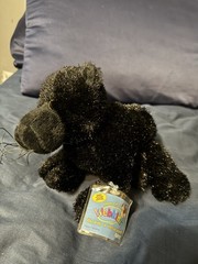 Ganz Webkinz Black Panther HM216 Plush With Code
