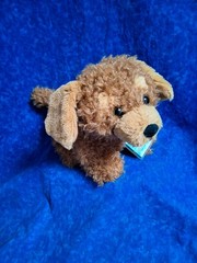 Ganz 2025 Webkinz Next Cockapoo NEW WK00024 Dual 2 Adoption Codes Gen3