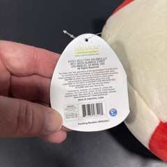 NWT Squishmallows 8″ Flip-a-Mallow Raisy & Shun Ramen Sushi Plush Toy