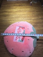 REFAHB Strawberry Big Pink Throw Pillow with Removable Mini Plush Strawberries