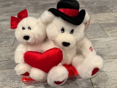 Kids Of America Valentine Couple Teddy Bear Plush Stuffed Animal NeW Singing Toy