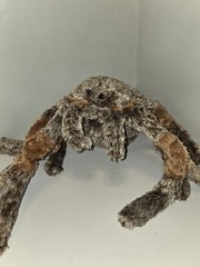Wishpets Plush Spider HAIRY Tarantula Stuffed Animal 2006