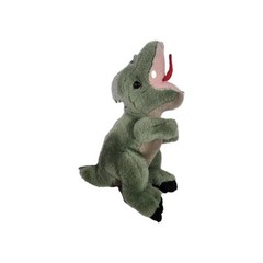 Green Dinosaur Plush~Used Good Condition