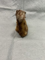 VINTAGE STEIFF 5.5” Tall Mohair PERRI Squirrel W/ Pine Cone 1960’s