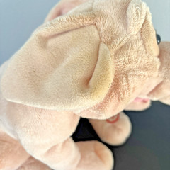 Percy The Singing Pig Plush Imagine Nation Animatronic Sings My Girl NEW READ