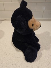 Dakin Baby Bearfoot Bean Bag 1976 Teddy 8″ Black Bear Seated Vtg Nutshell Tag