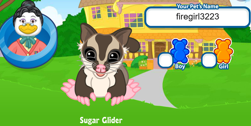 Webkinz Classic Sugar Glider *Virtual Code Only*