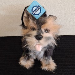 Petsies Custom Plush Dog Stuffed Animal – Realistic Personalized Pet Replica