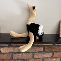 Africa’s Legend Plush Ostrich Black, White, & Beige Long Lashes