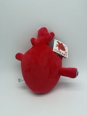 I Heart Guts 2018 Plush Red Anatomical Heart Organ Stuffed Toy
