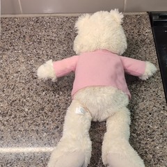 Toy Factory Dolly Parton Dollywood Bear Plush Doll White/Pink Small Retired