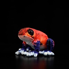 17cm Strawberry Poison Dart Frog Plush Doll Cute Soft Frog Stuffed Animal Toy