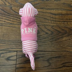Victoria’s Secret PINK 2006 Striped Mini Dog w/ Logo Hoodie