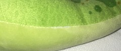 Disney/Pixar Genuine Stamp Pose able The Good Dinosaur Arlo