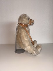 Steiff Muzzle Bear 1908 Replica 1988 Limited Edition #175/5000 Cert. w/ Growler