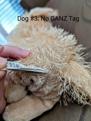 Webkinz Golden Retriever HM010 No Code Active Plush Stuffed Animal GANZ 2005