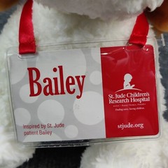 Gund Puppy Dog Plush Bailey Lab St. Judes Brown White Floppy Special Edition