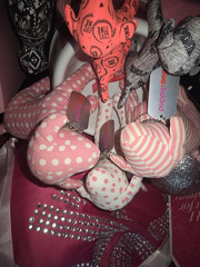 Victoria’s Secret PINK dogs