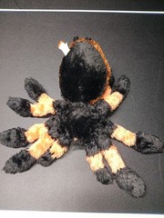 Wild Republic Tarantula Spider Plush Stuffed Animal Black Orange Halloween EUC