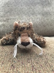 Ganz Webkinz Leopard Plush – Brown 9″ Active Stuffed Animal No Code AAMICS12