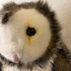 Fiesta Barn Owl Plush Stuffed Animal Realistic Wildlife Bird Toy