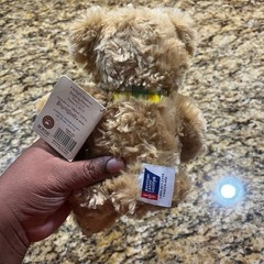BOYDS BEAR Ray O. Plush Special Edition Daffodil Days Program American Cancer 6″