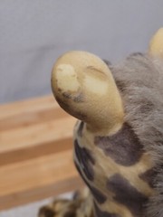 1994 Vintage Zoo Borns Ed Kaplan Baby Giraffe Flocked Head Plush Toy 11″