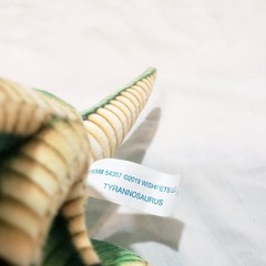 Wishpets Tyrannosaurus T Rex Dinosaur Plush Stuffed Animal 11″ 2019 Green