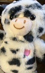 Walgreens White Cow With Black Spots Plush Stuffed Animal Pink Heart Soft & Cute
