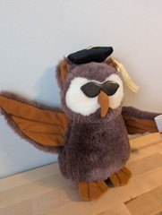 VTG 1994 Petting Zoo Graduation Owl 10″ Plush Brown/White Stuffed Animal