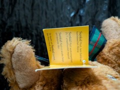 SunKid Teddy Bear Plush Stuffed Animal