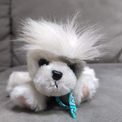 Vintage Tyco Puppy Puppy Puppies Dog Husky Grey White Blue Eyes Plush 8″