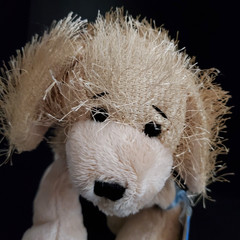 Webkinz Cocker Spaniel NEW Sealed Unused Code