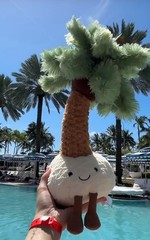 Jellycat Amuseables Pammie Palm Tree Brand New with tags