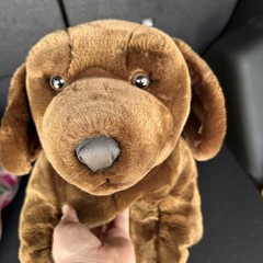 Vtg Life Size Plush Chocolate Labrador Retriever Lab Dog Kids Preferred 35” 1999