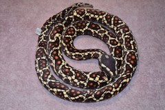 Tiger Tales Toys Plush Snake Stuffed Animal – 12 Feet Long 144” – Cute Fast Ship