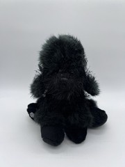 Ganz Webkinz Black Poodle Plush Stuffed Animal Puppy Dog Shaggy No Code HM191