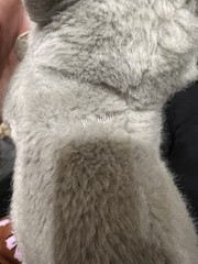 Vintage Russ Plush Schnauzer Puppy Dog Gray White Yomiko Classics Stuffed