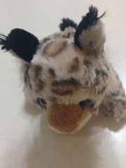 Wild Republic Plush 8″ Leopard Brown Cat
