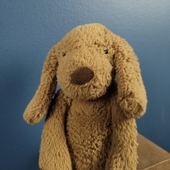 JELLYCAT London Bashful Toffee Puppy dog 8″ plush brown SO CUTE!
