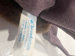 Vintage Soundprints plush Bat